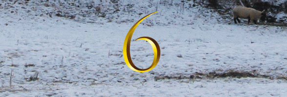 6. Dezember
