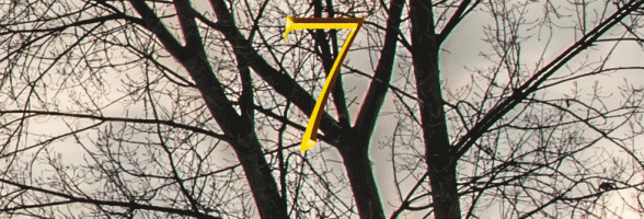 7. Dezember