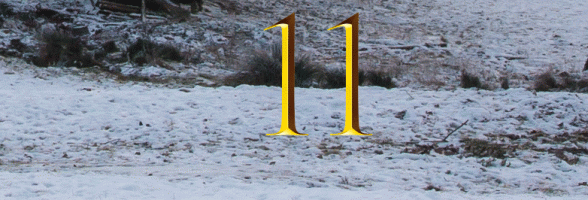 11. Dezember