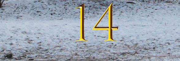 14. Dezember