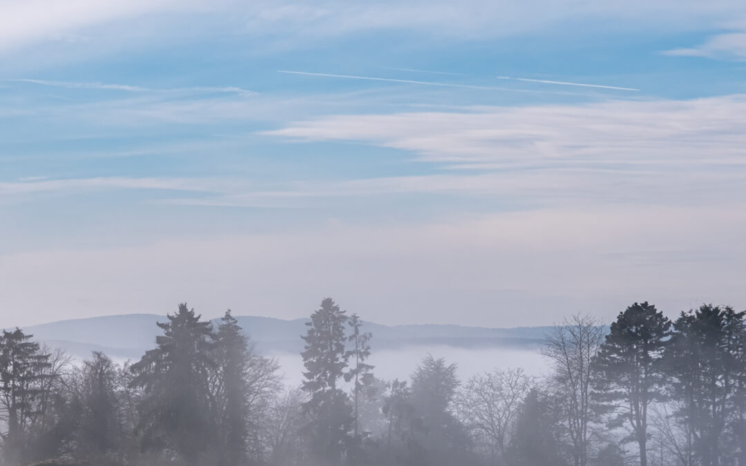 Bildbesprechung 2026-01 Freies Thema