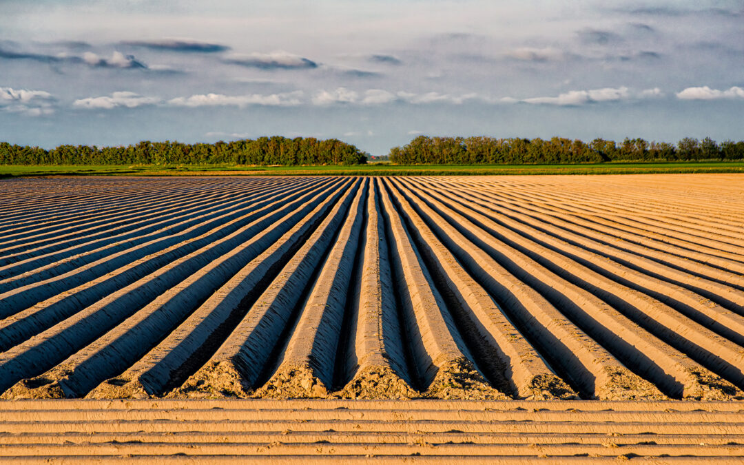 Bildbesprechung 2026-03 Strukturen
