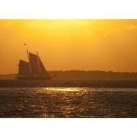 Maximilian Meinel<br>
<p class="has-text-align-right has-large-font-size">Liebe ist ein Boot, <br>das sich nur gemeinsam über weite Strecken segeln lässt. </p><br>
<br>
Dieses Zitat und Bild habe ich gewählt,
<br>da man alle Zeiten – ob gut oder weniger gut – <br>nur gemeinsam durchstehen und bewältigen kann.
<br> Aber auch bei Freundschaften und im Arbeitsleben ist man nur gemeinsam stark.
<br>
<p class="has-text-align-right">Burkhard Geller-Wollentin</p>