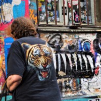Simone Heuser <br>
<br>
Es ist besser,
einen Tag als Tiger gelebt zu haben,
<br>als tausend Jahre als Schaf.
<br><p class="has-text-align-right"> Tibetanisches Sprichwort </p>