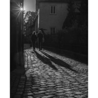 Thomas Dimroth<br>
<p class="has-text-align-right has-large-font-size">Wenn ich das Licht seh'</p><br>
<br>Ich kann dir nicht erklären, was ich dir sagen will.
<br>Ich kann dir nicht erklären, was ich fühl'.
<br>Doch wenn ich das Licht seh', kann ich dich verstehn.
<br>Ja, wenn ich das Licht seh', will ich mit dir gehn.
<br>
<br>Was ich tue, ist nicht logisch, doch ich muss es tun.
<br>Und all meine Zweifel sind lang' zerplatzt.
<br>Denn wenn ich das Licht seh', gibt es keine Fragen mehr.
<br>Ja, wenn ich das Licht seh', gibt es keine Fragen mehr.
<p class="has-text-align-right"> Marius Müller Westernhagen </p>