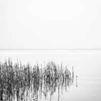Manuel Paulus<br>
<p class="has-text-align-right has-large-font-size">Meeresstille</p><br><br>
Tiefe Stille herrscht im Wasser,
<br>Ohne Regung ruht das Meer,
<br>Und bekümmert sieht der Schiffer
<br>Glatte Fläche ringsumher.
<br>Keine Luft von keiner Seite!
<br>Todesstille fürchterlich!
<br>In der ungeheuren Weite
<br>Reget keine Welle sich.
<br>
<p class="has-text-align-right">Johann Wolfgang von Goethe</p>