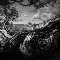 Yellowstone NP - @Olmsted Point