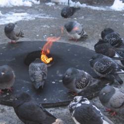 Warming Up - Hat hier irgendwer was von Global Warming gesagt ?