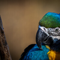 Tier (Vogel-) Park Herborn