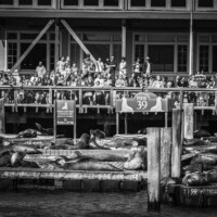 San Francisco - @Fishermanns Warf
