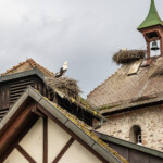 2024-05 Urlaub Schwarzwald - Zell am Harmersbach