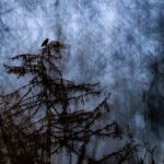 © Jens Jesberg