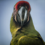 Tier (Vogel-) Park Herborn