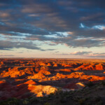USA 2015 South West - Petrified Forest NP
