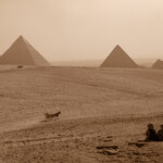 Aus der Sepia-Serie